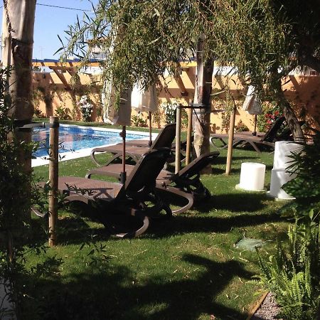 Estudio para pareja con jardincito privado barbacoa con piscina compartida Cádiz Exterior foto